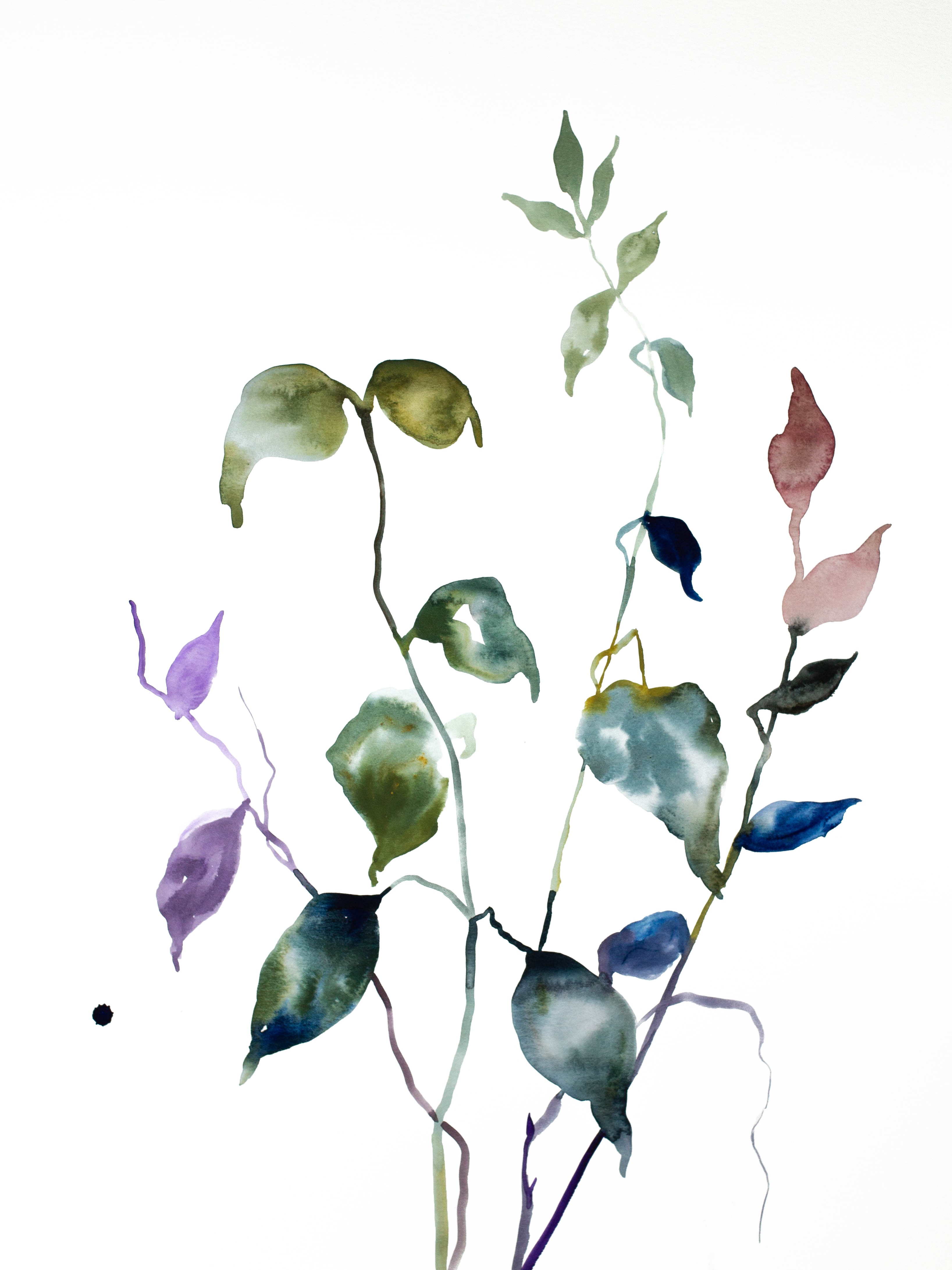 Elizabeth Becker, Plant Study No. 59 Elizabeth Becker, Plant Study No. 59