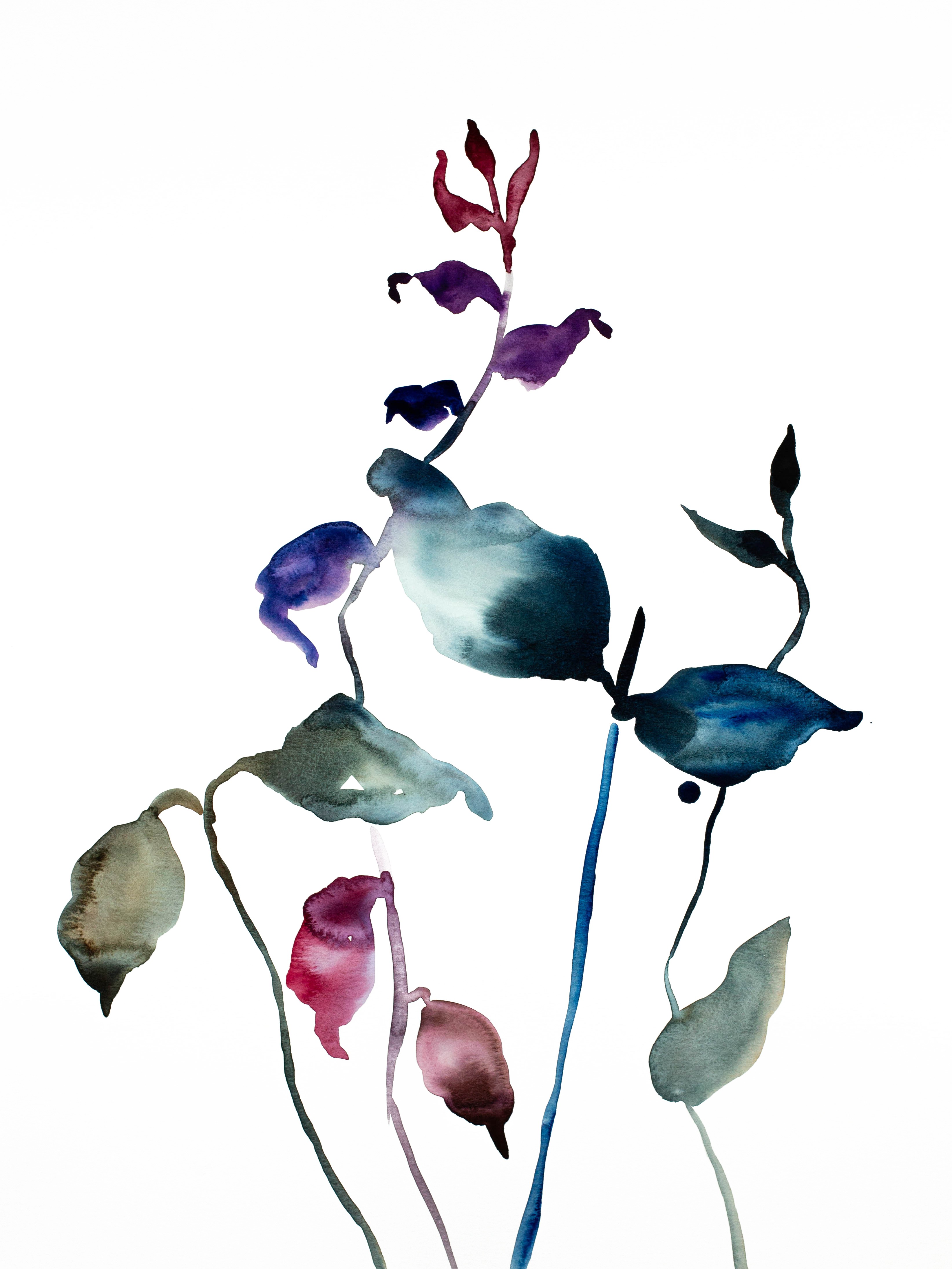 Elizabeth Becker, Plant Study No. 60 Elizabeth Becker, Plant Study No. 60