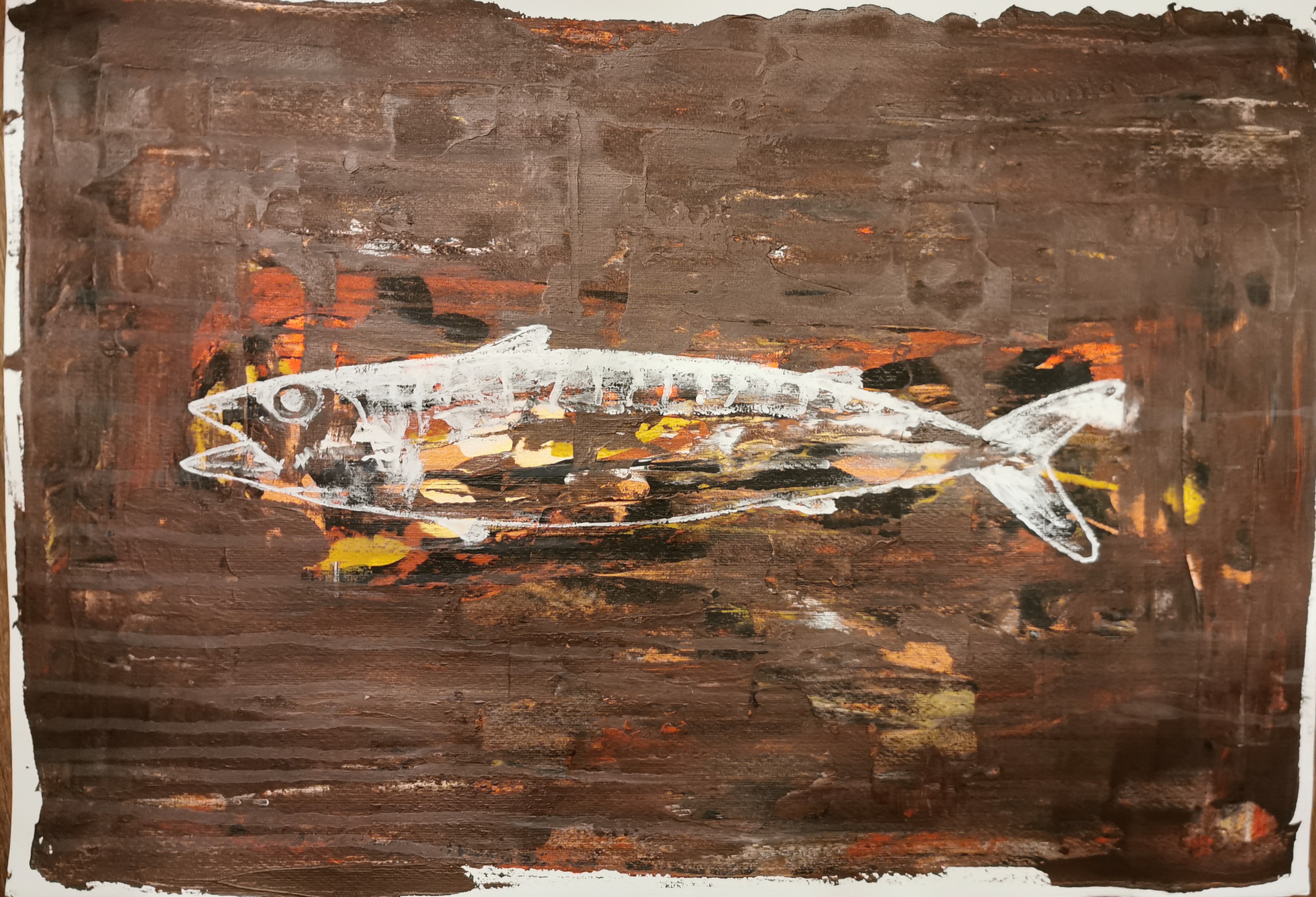 Riccardo Buonafede, Fish Riccardo Buonafede, Fish