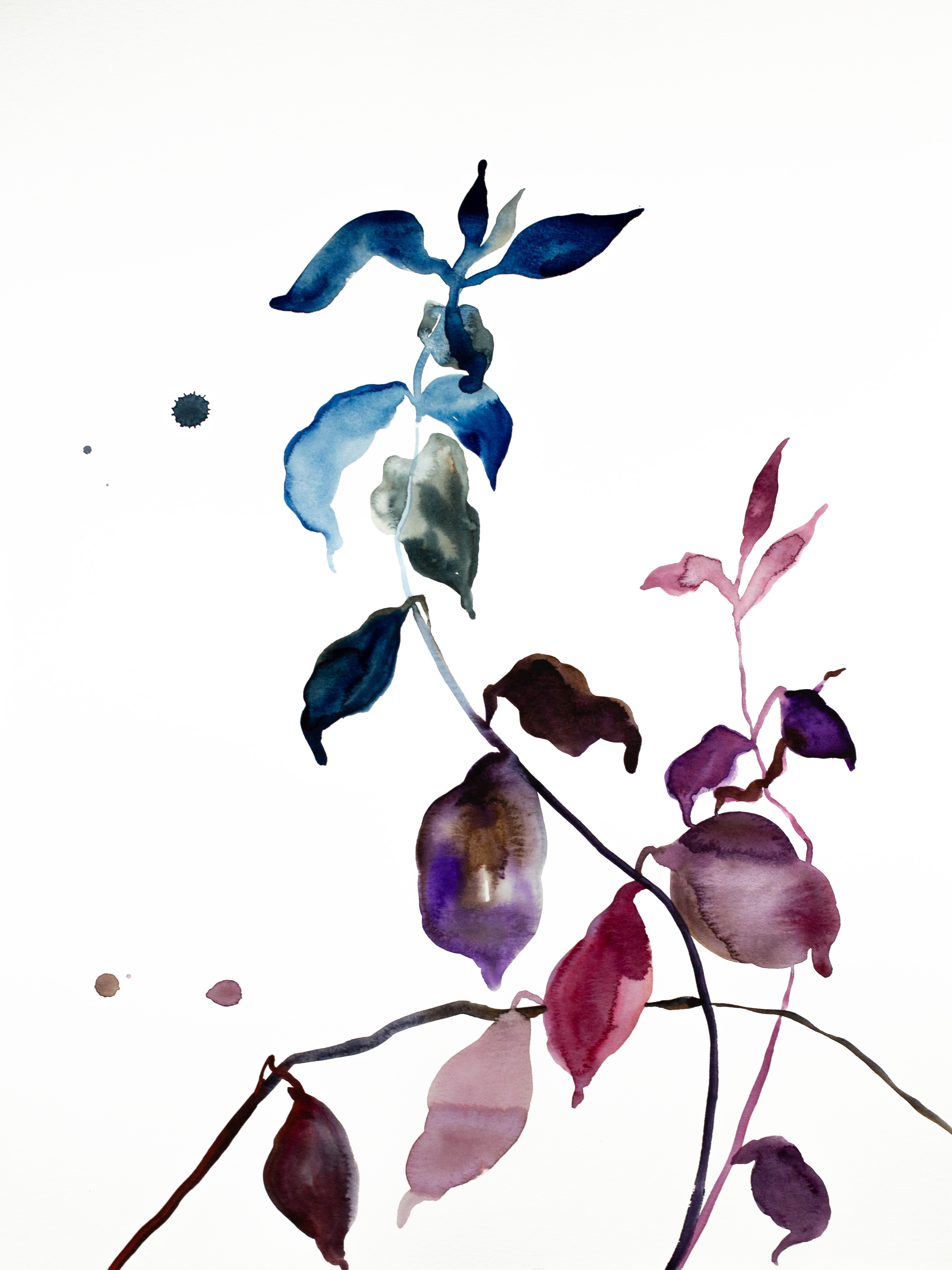 Elizabeth Becker, Plant Study No. 61 Elizabeth Becker, Plant Study No. 61