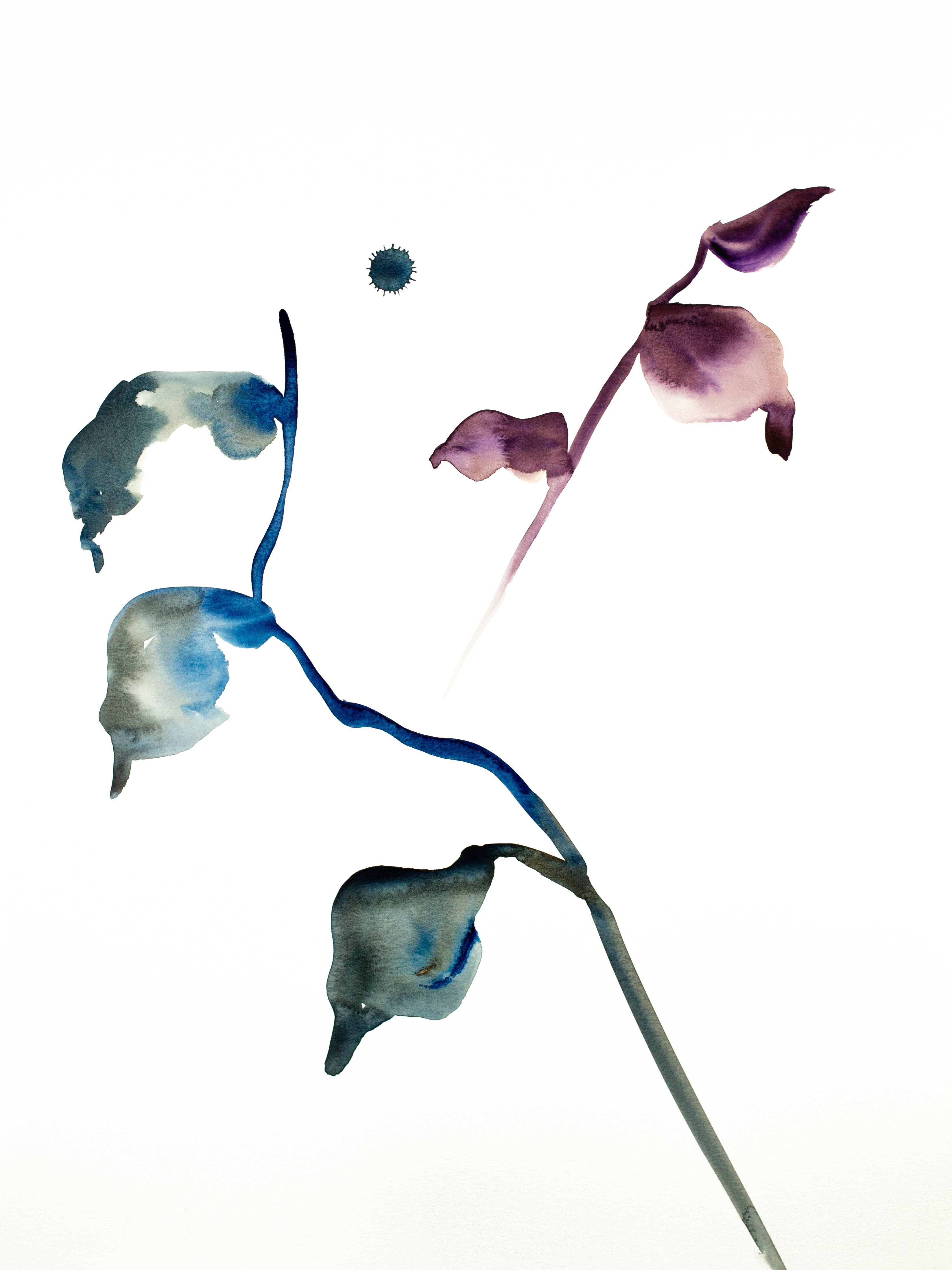 Elizabeth Becker, Plant Study No. 63 Elizabeth Becker, Plant Study No. 63