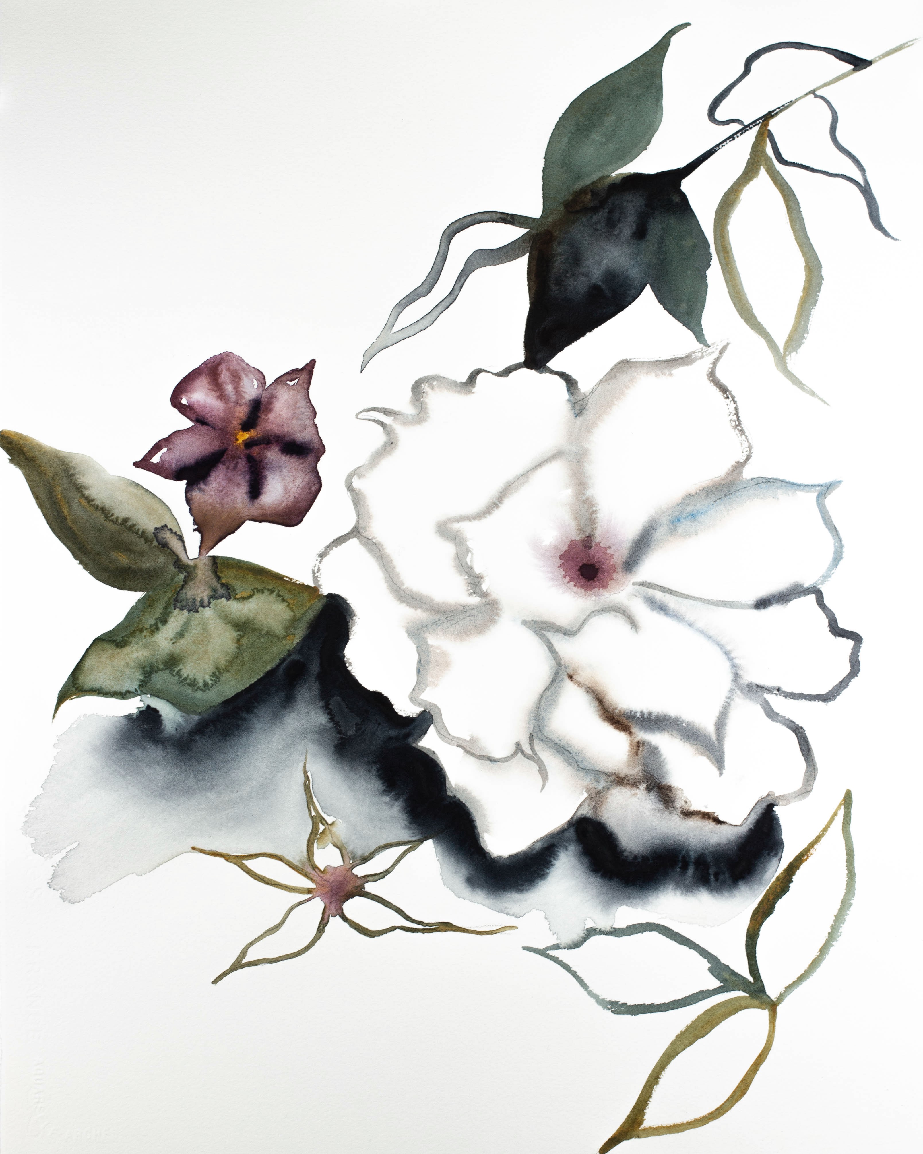 Elizabeth Becker, Rosa Elizabeth Becker, Rosa
