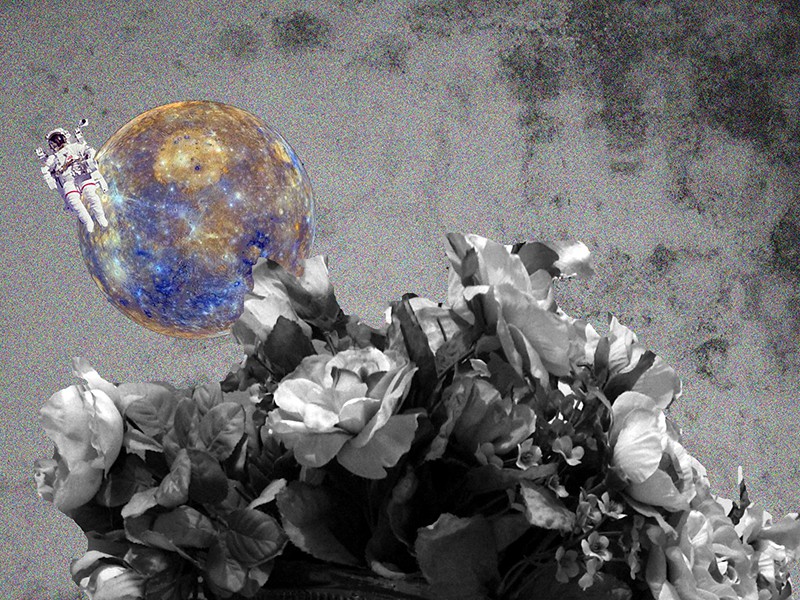 Seven YCH, Holy Crown/No.1 The texture of imagination Seven YCH, Holy Crown/No.1 The texture of imagination