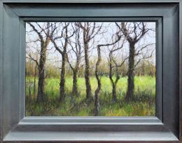 Woodland Walk, David Brammeld