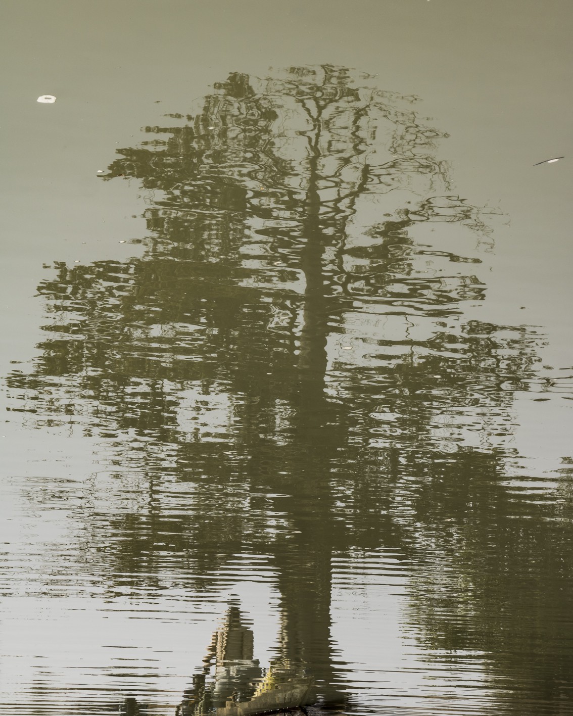 Adrien Bitibaly, Black Volta (Mouhoun) - Untitled n° 06 Adrien Bitibaly, Black Volta (Mouhoun) - Untitled n° 06