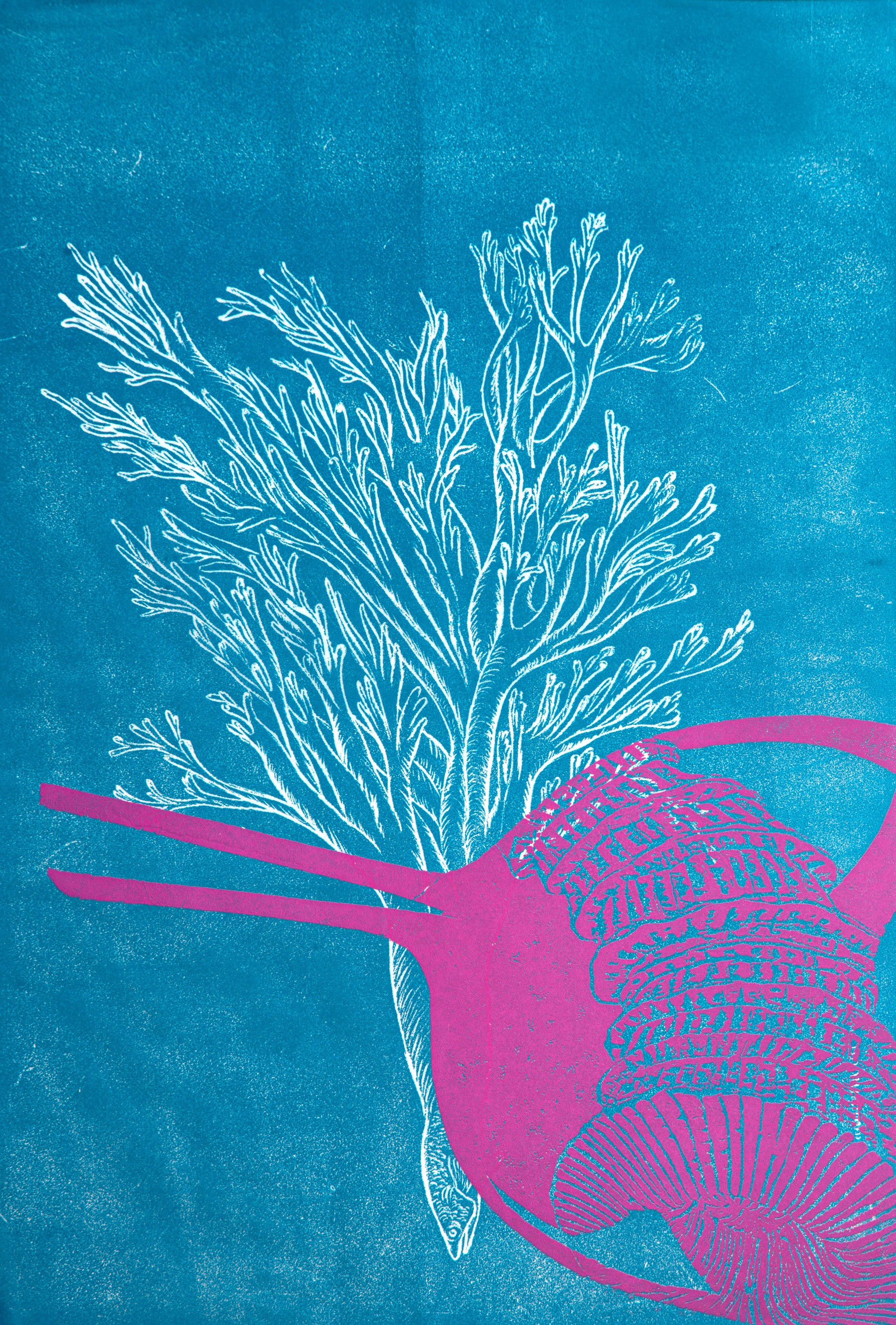 Marie-Noëlle Deverre, Corail 1 Marie-Noëlle Deverre, Corail 1