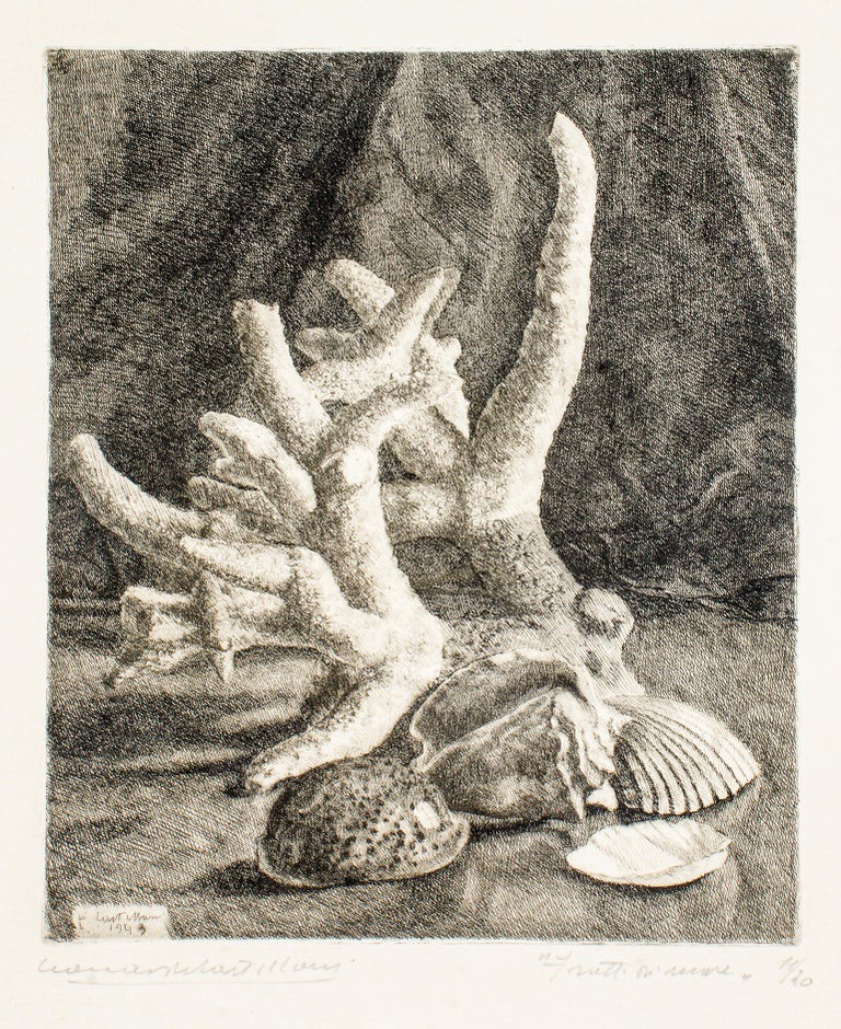 Leonardo Castellani, Seafood Leonardo Castellani, Seafood