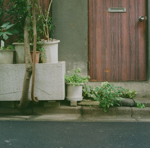 Madoka Sakamoto