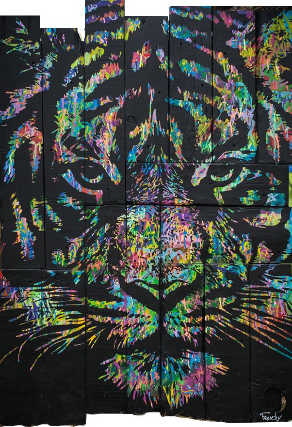 Franck Savoye (Francky), Tigre Franck Savoye (Francky), Tigre