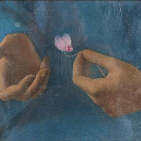 Peinture, The Cyclamen, Eraldo Mori Cristiani