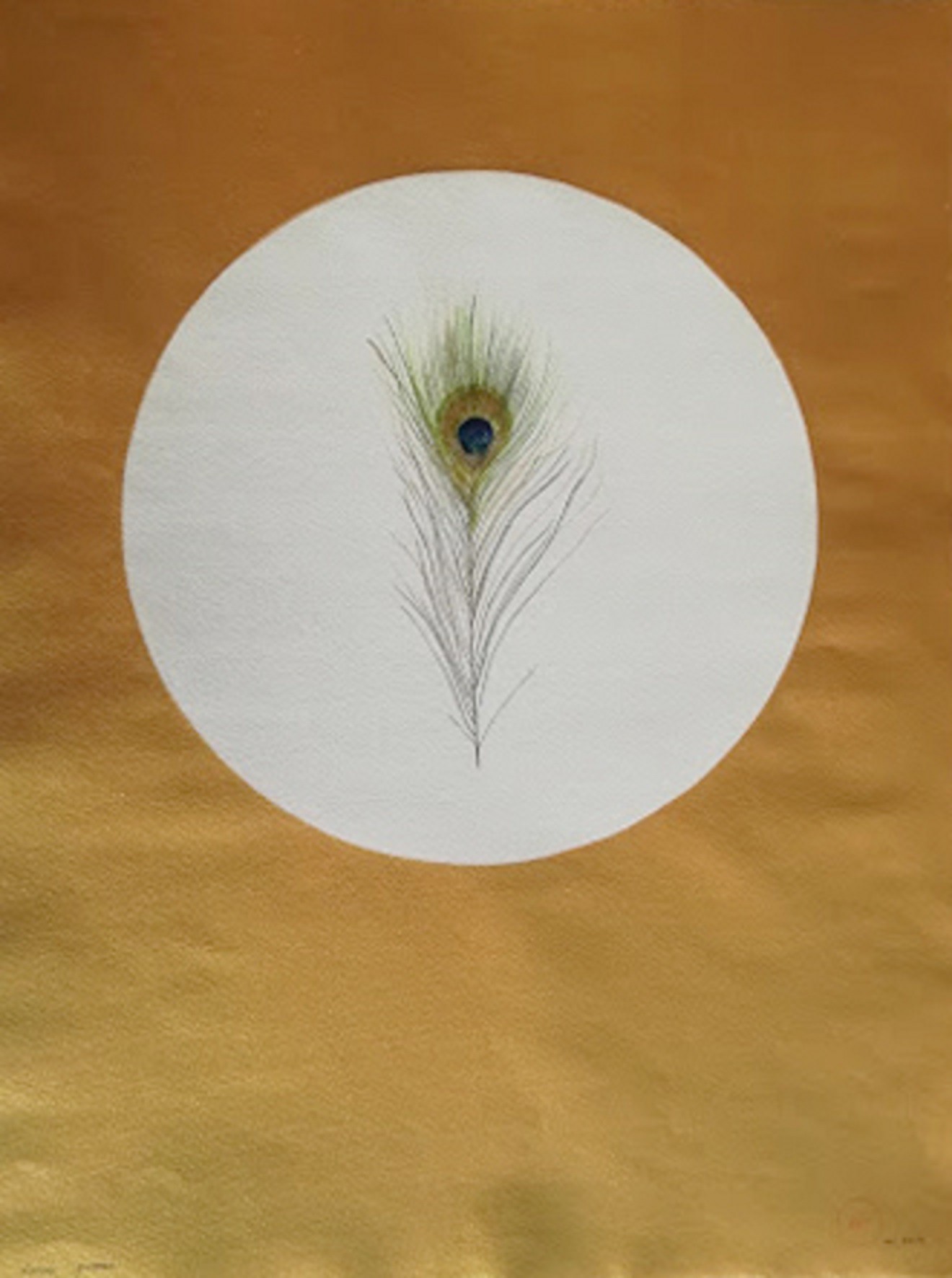 Aurembaix Sabaté, Cauda Pavonis Aurembaix Sabaté, Cauda Pavonis