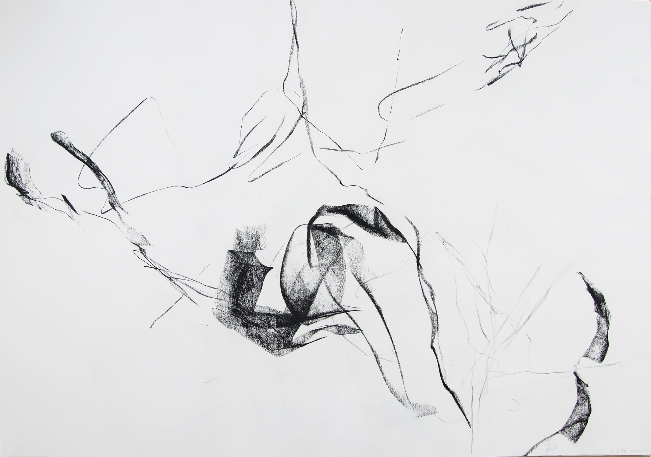 LN Le Cheviller, Anatomie 10 LN Le Cheviller, Anatomie 10