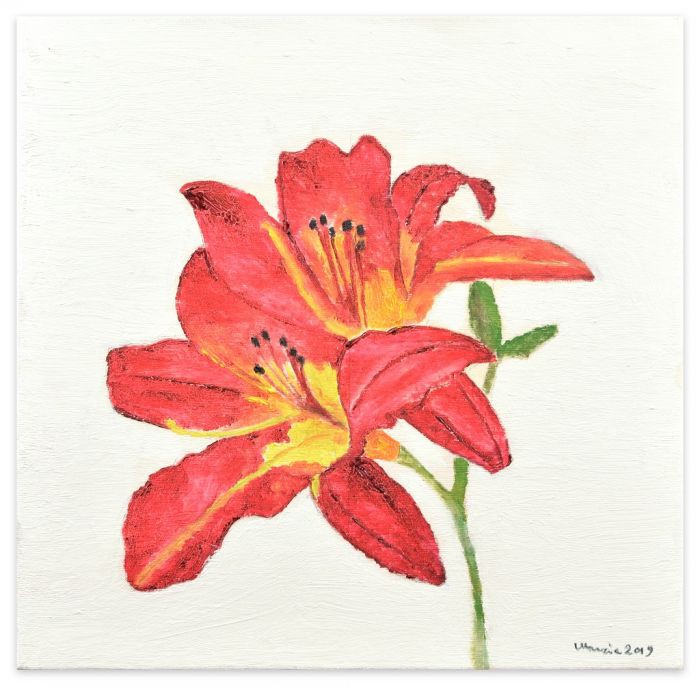 Marzia Trinca, Hemerocallis Marzia Trinca, Hemerocallis