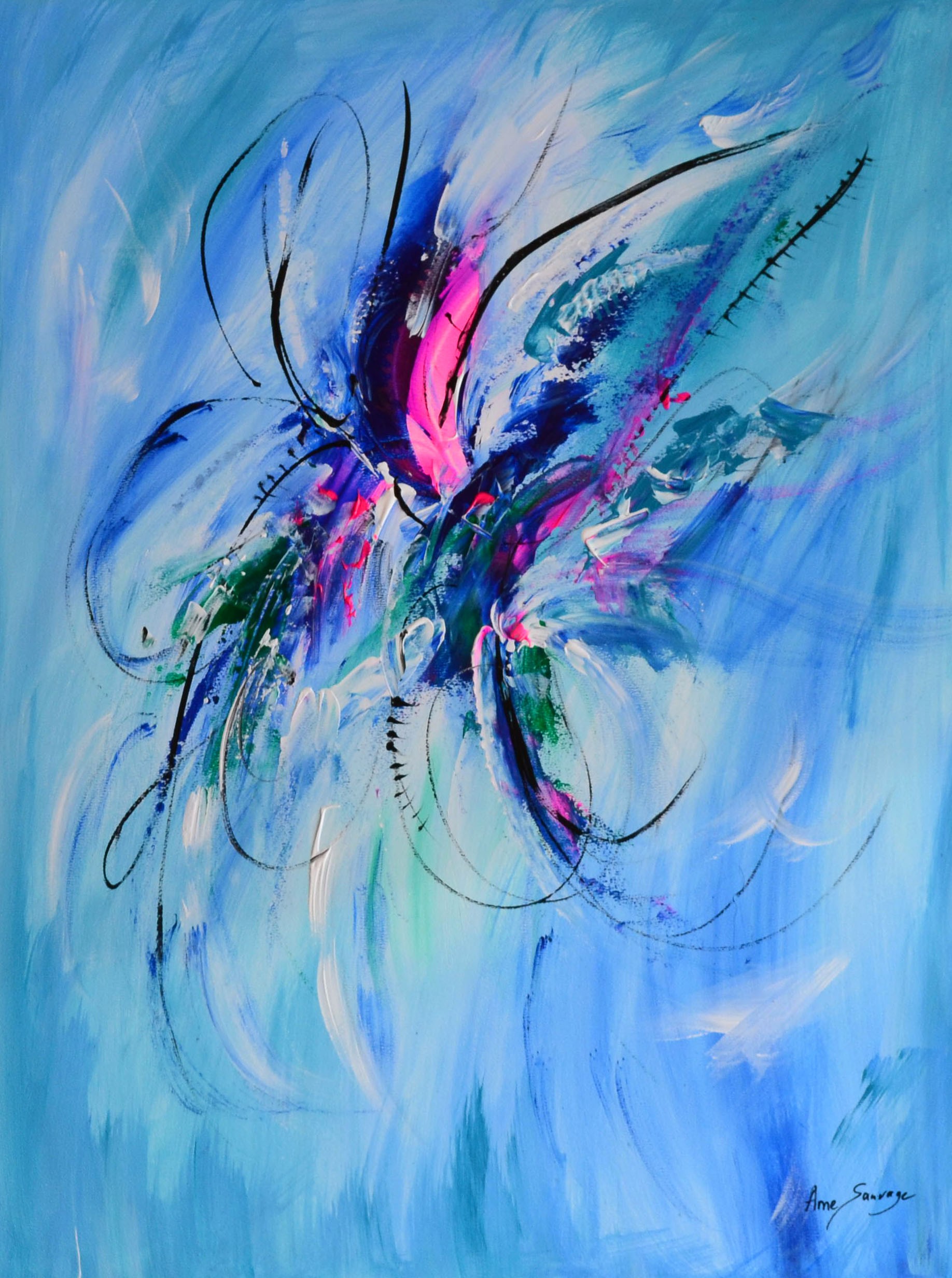 Âme Sauvage, Le papillon magnifique Âme Sauvage, Le papillon magnifique