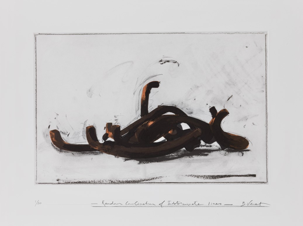 Bernar Venet, Random Combination of Indeterminate Lines 1 Bernar Venet, Random Combination of Indeterminate Lines 1