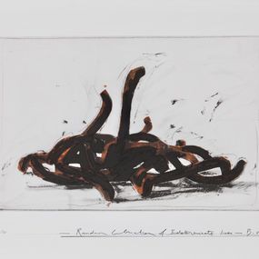 Print, Random combination of Indeterminate Lines 3, Bernar Venet