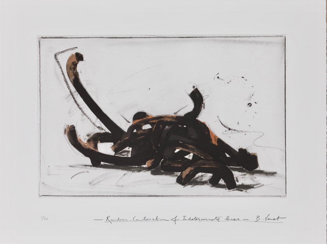 Bernar Venet, Random combination of Indeterminate Lines 4 Bernar Venet, Random combination of Indeterminate Lines 4
