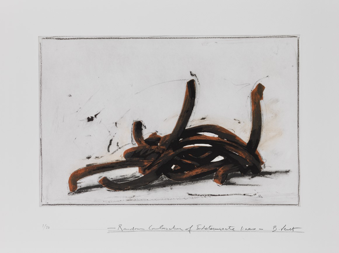 Bernar Venet, Random Combination of Indeterminate Lines 4 Bernar Venet, Random Combination of Indeterminate Lines 4