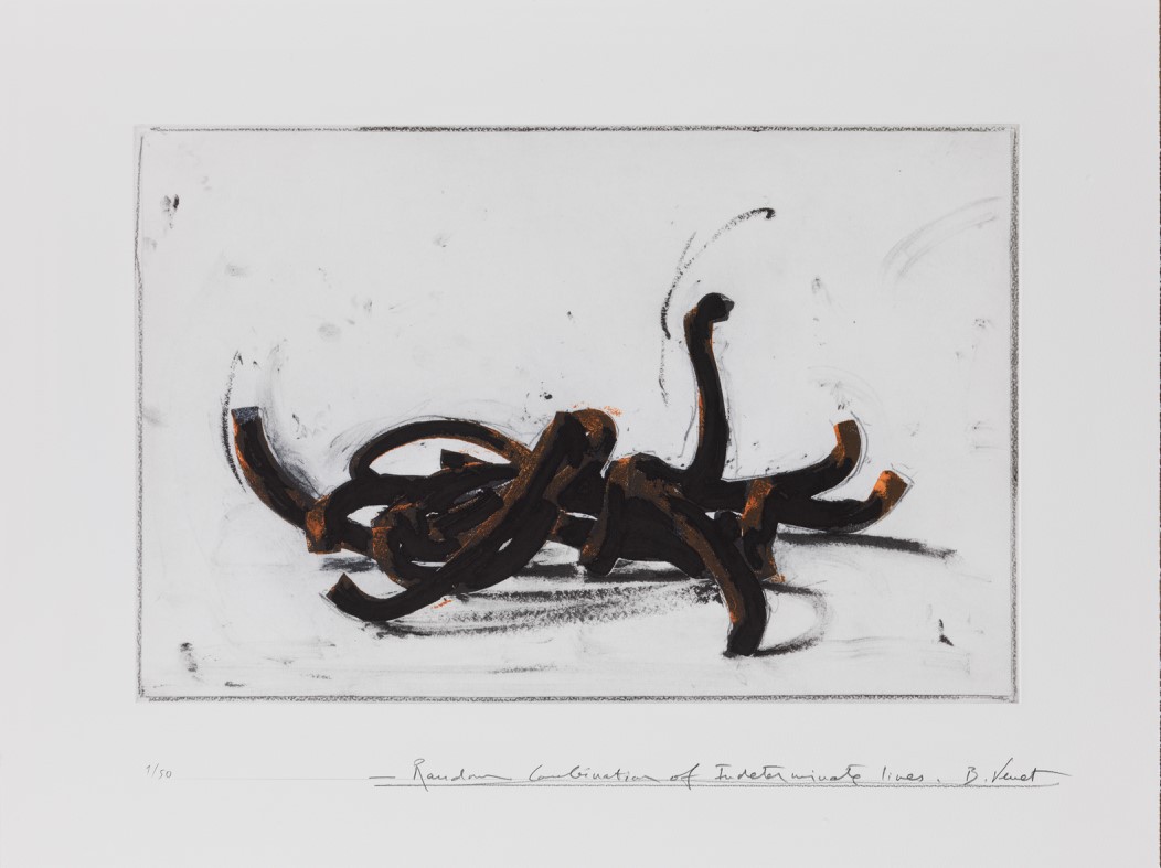 Bernar Venet, Random Combination of Indeterminate Lines 4 Bernar Venet, Random Combination of Indeterminate Lines 4