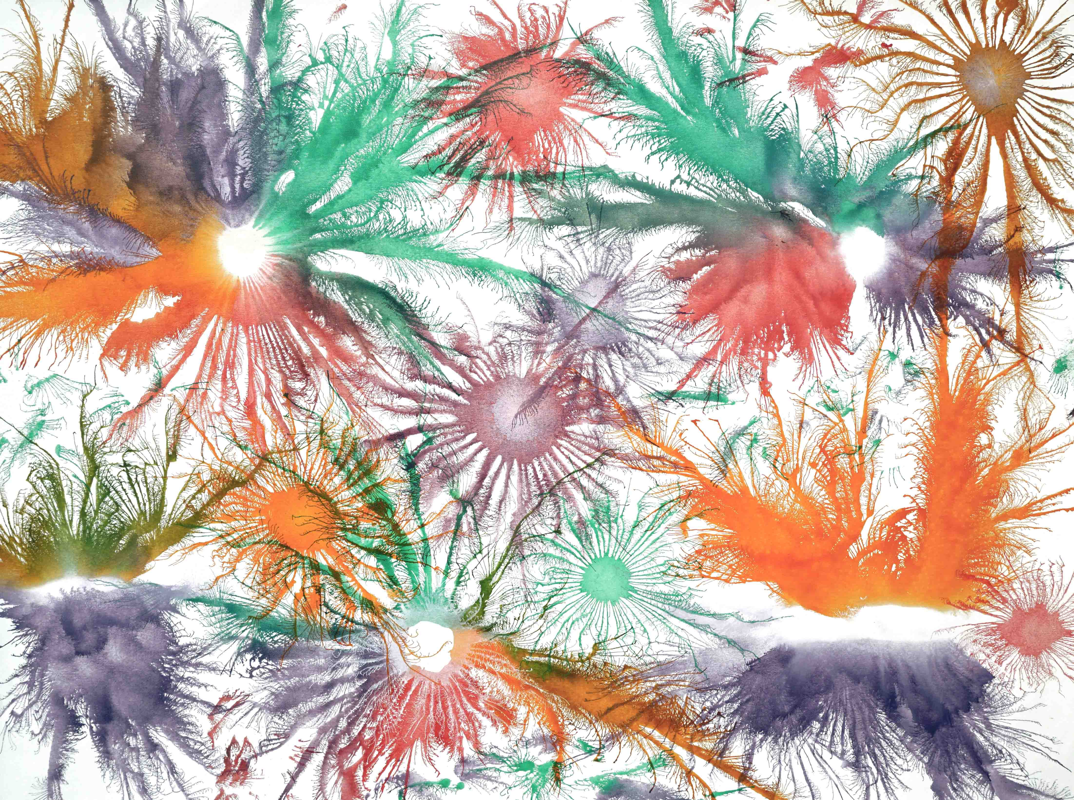 Sumit Mehndiratta, Exploflora Series No.77 Sumit Mehndiratta, Exploflora Series No.77