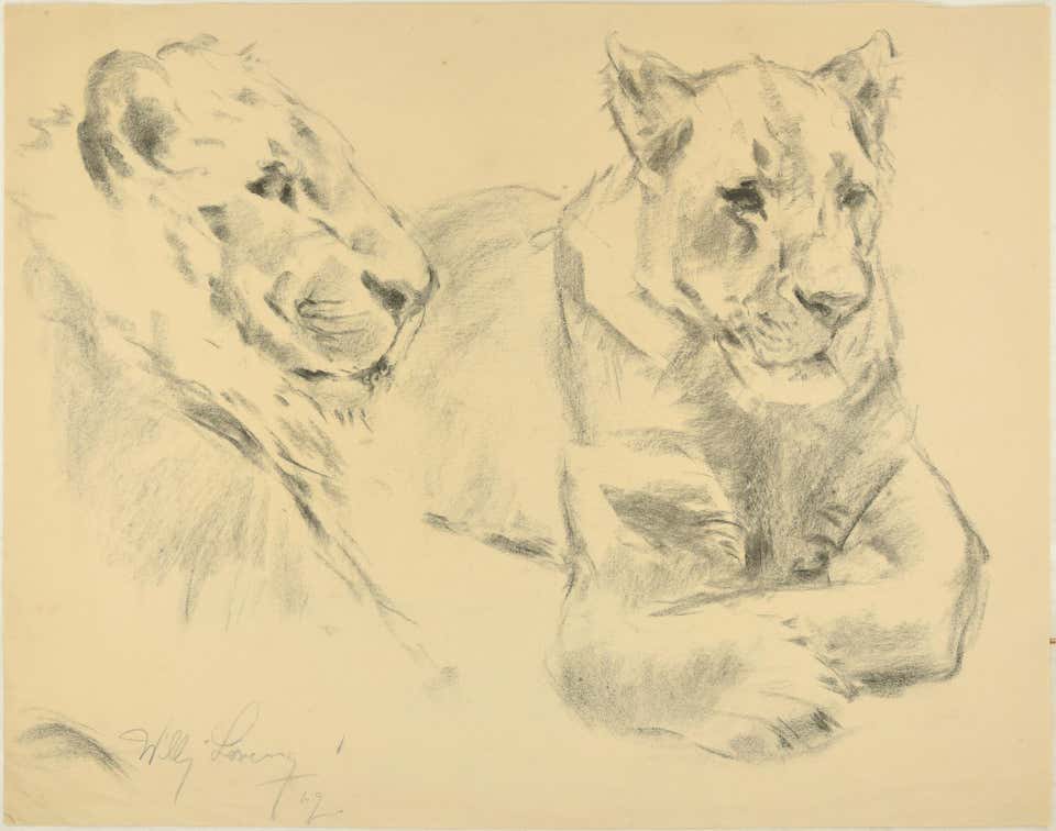 Wilhelm Lorenz, Lionesses Wilhelm Lorenz, Lionesses