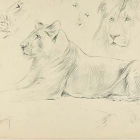 Disegno, Sketch, Wilhelm Lorenz
