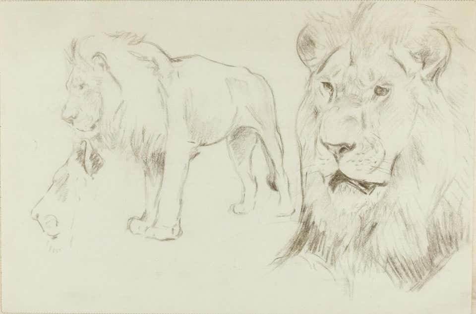 Wilhelm Lorenz, Foreground of a Lion Wilhelm Lorenz, Foreground of a Lion
