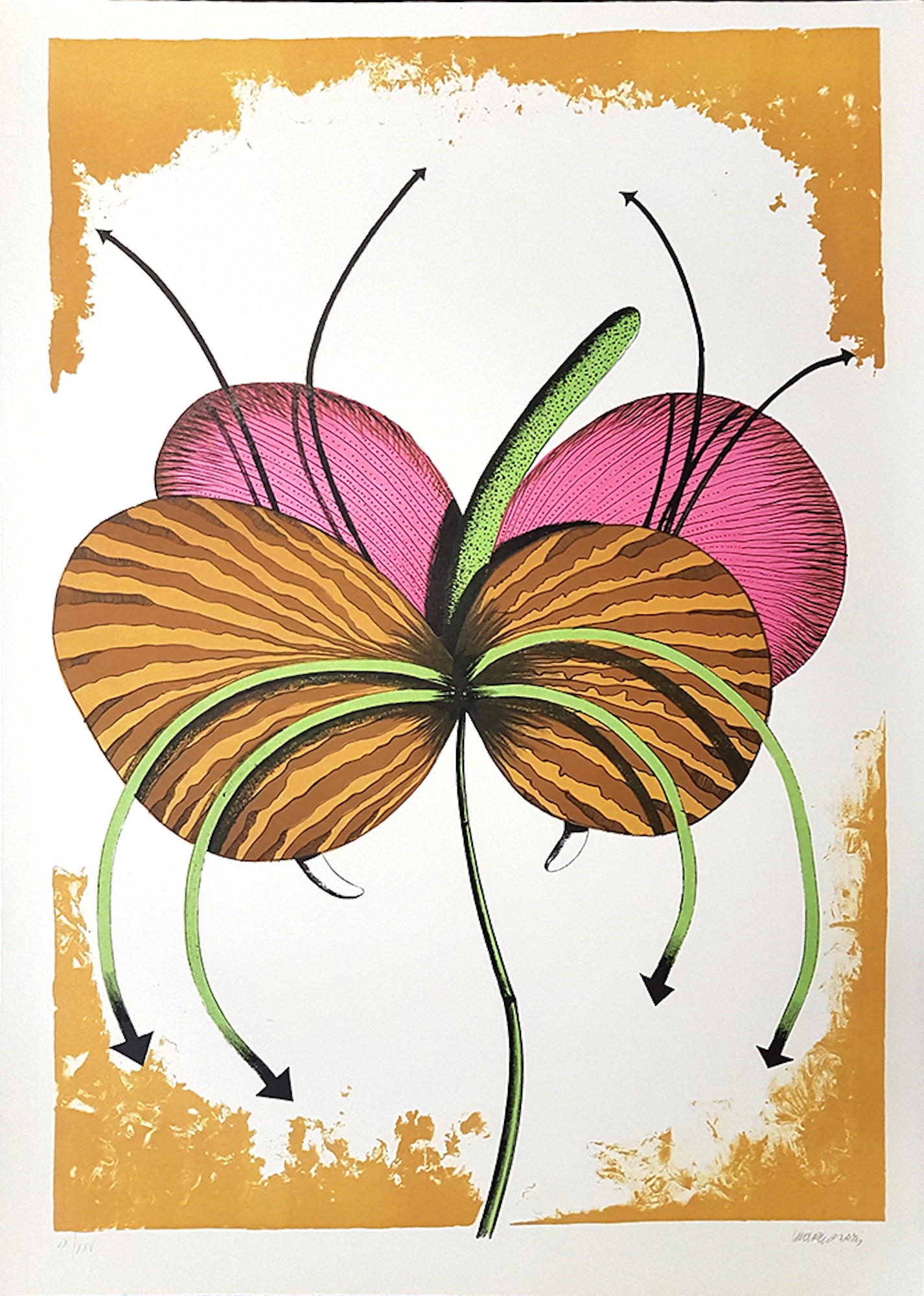 Renzo Margonari, Available Flower Renzo Margonari, Available Flower