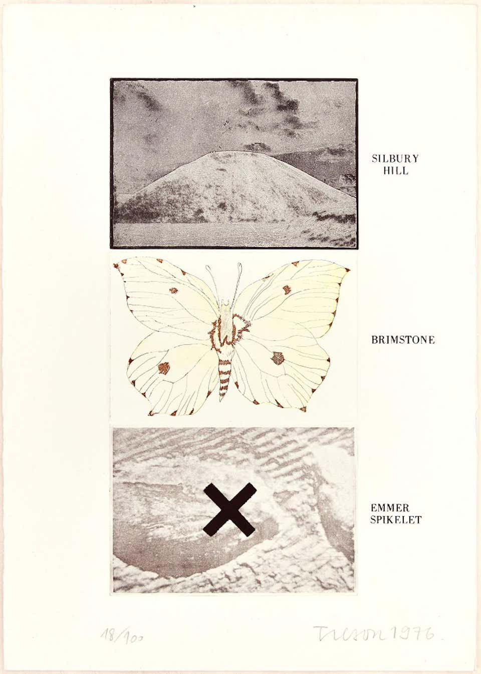 Joe Tilson, Silbury Hill, Brimstone, Emmer Spikelet Joe Tilson, Silbury Hill, Brimstone, Emmer Spikelet