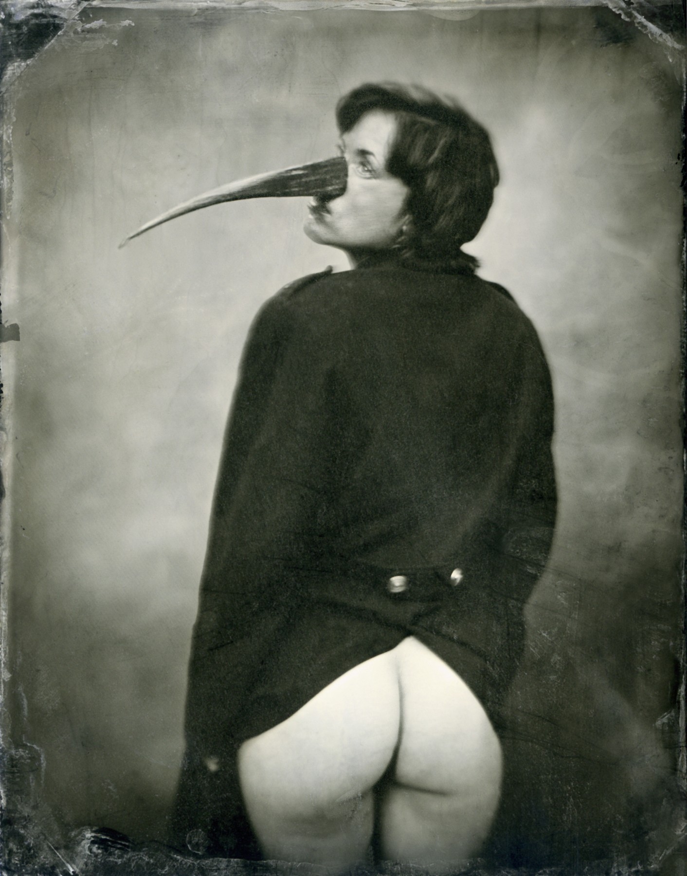 AJ Barnes, The Adjutant Stork AJ Barnes, The Adjutant Stork