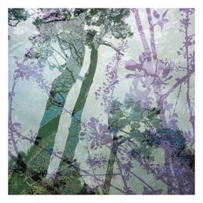 Photography, Reflet vegetal, Nicolas Le Beuan Bénic
