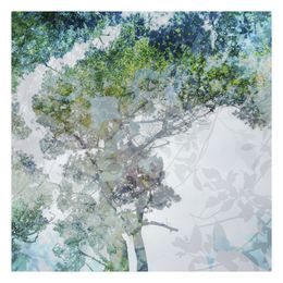 Edición, Reflet vegetal II, Nicolas Le Beuan Bénic