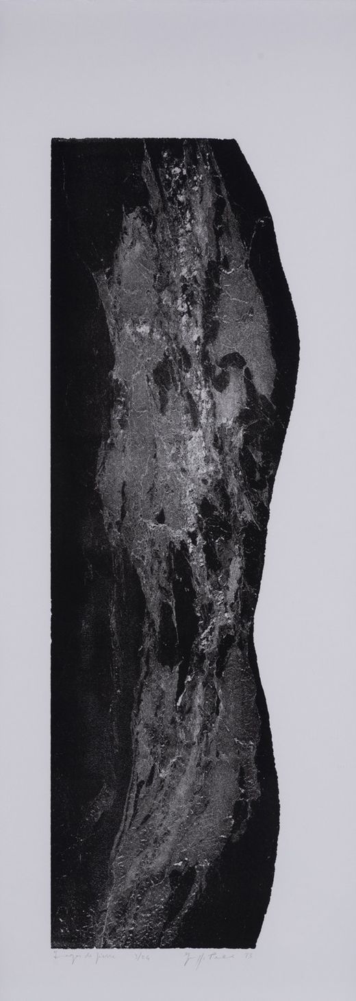 Giuseppe Penone