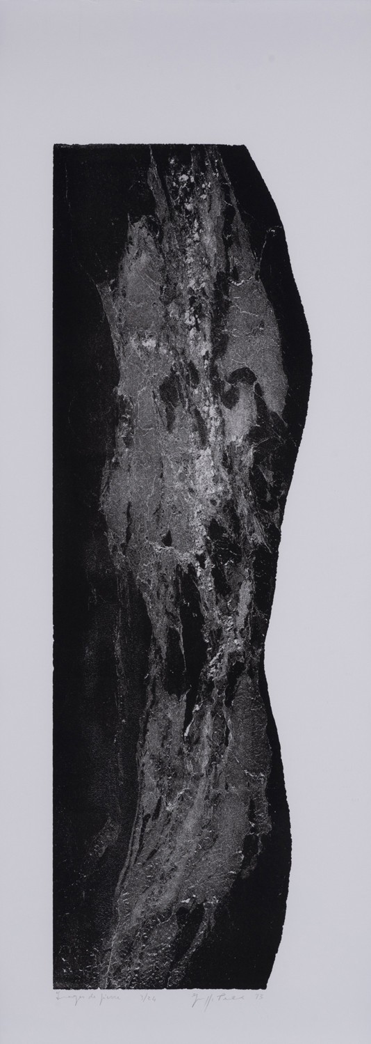Giuseppe Penone, Images de Pierres Giuseppe Penone, Images de Pierres