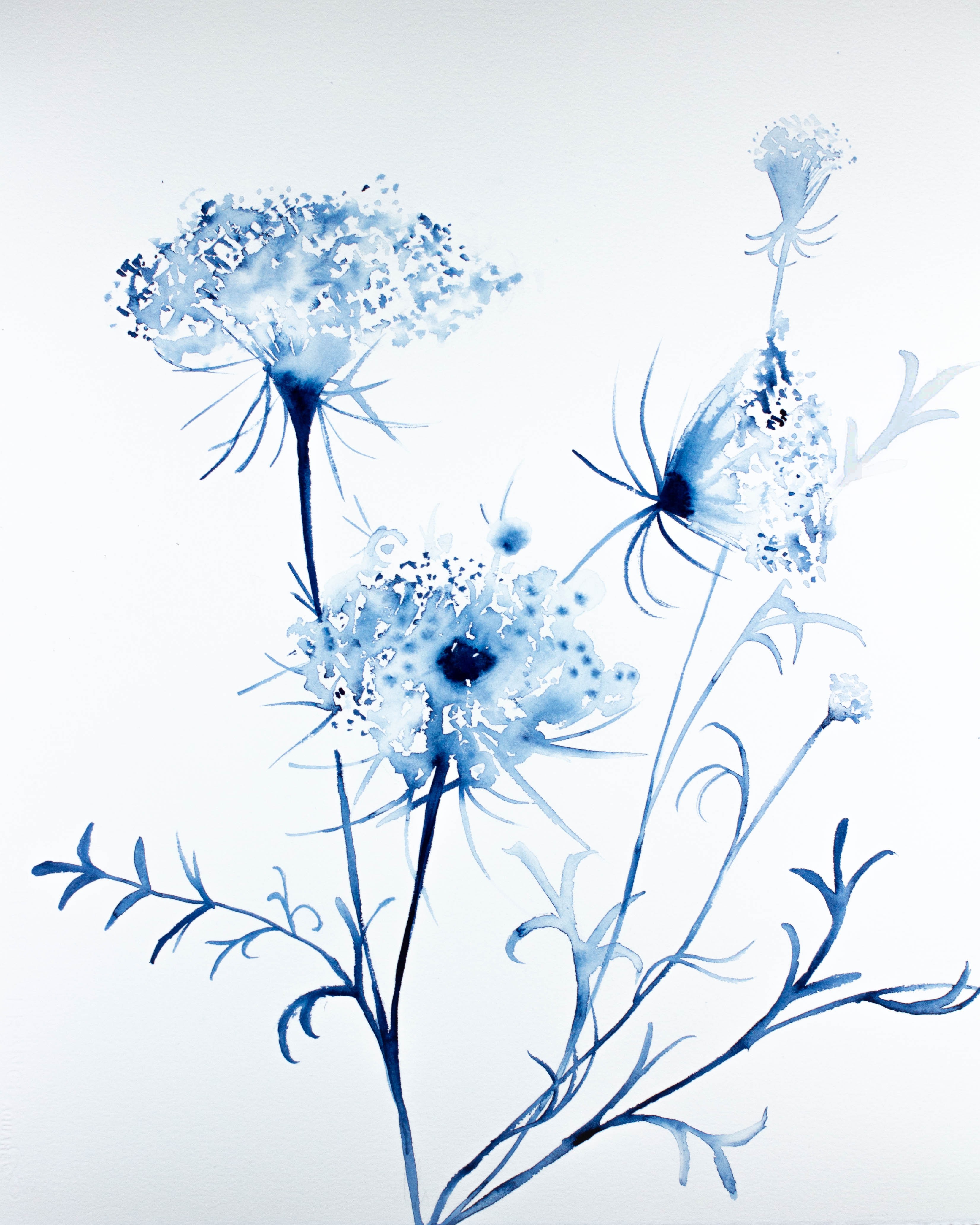 Elizabeth Becker, Queen Anne's Lace No. 2 Elizabeth Becker, Queen Anne's Lace No. 2