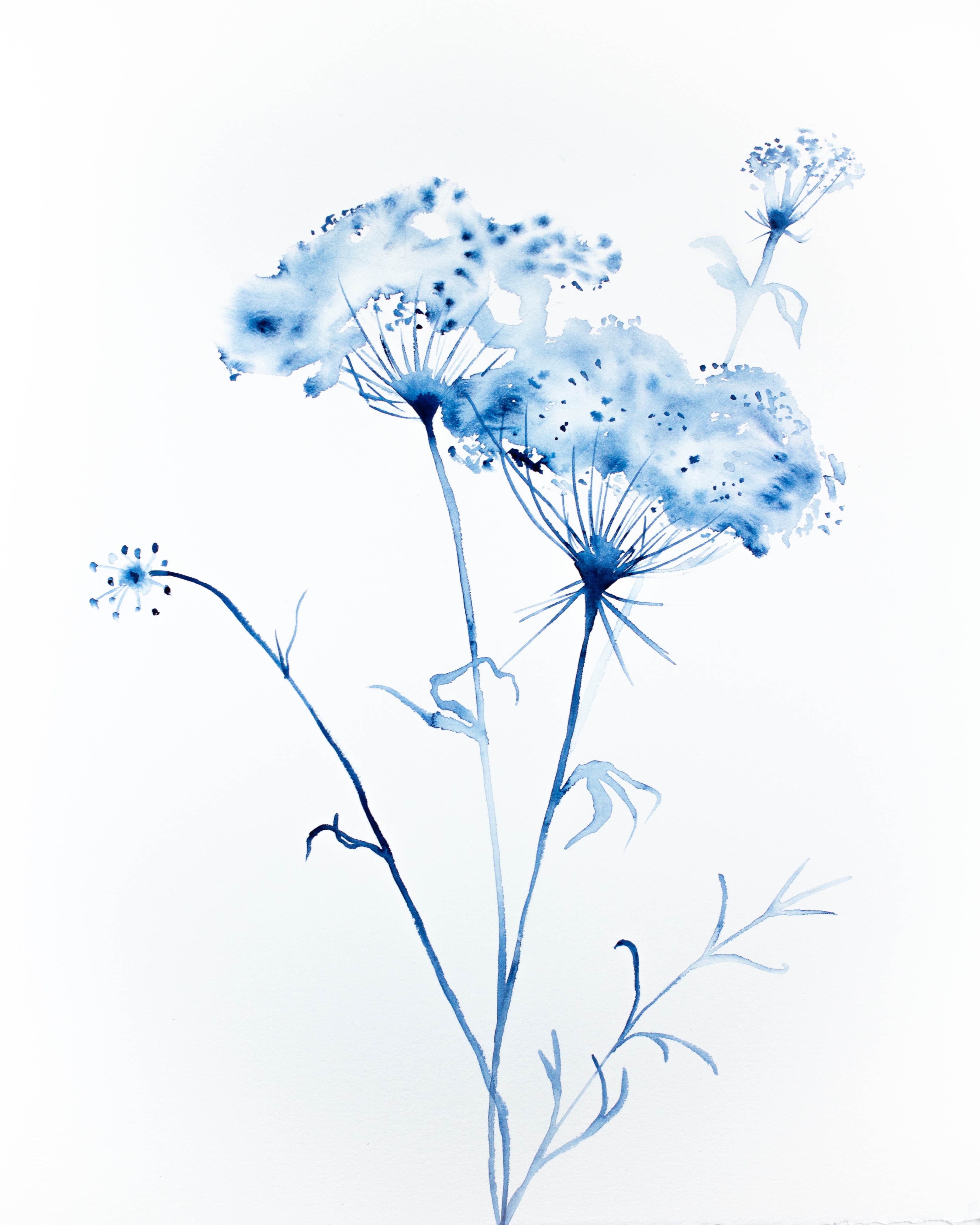 Elizabeth Becker, Queen Anne's Lace No. 3 Elizabeth Becker, Queen Anne's Lace No. 3