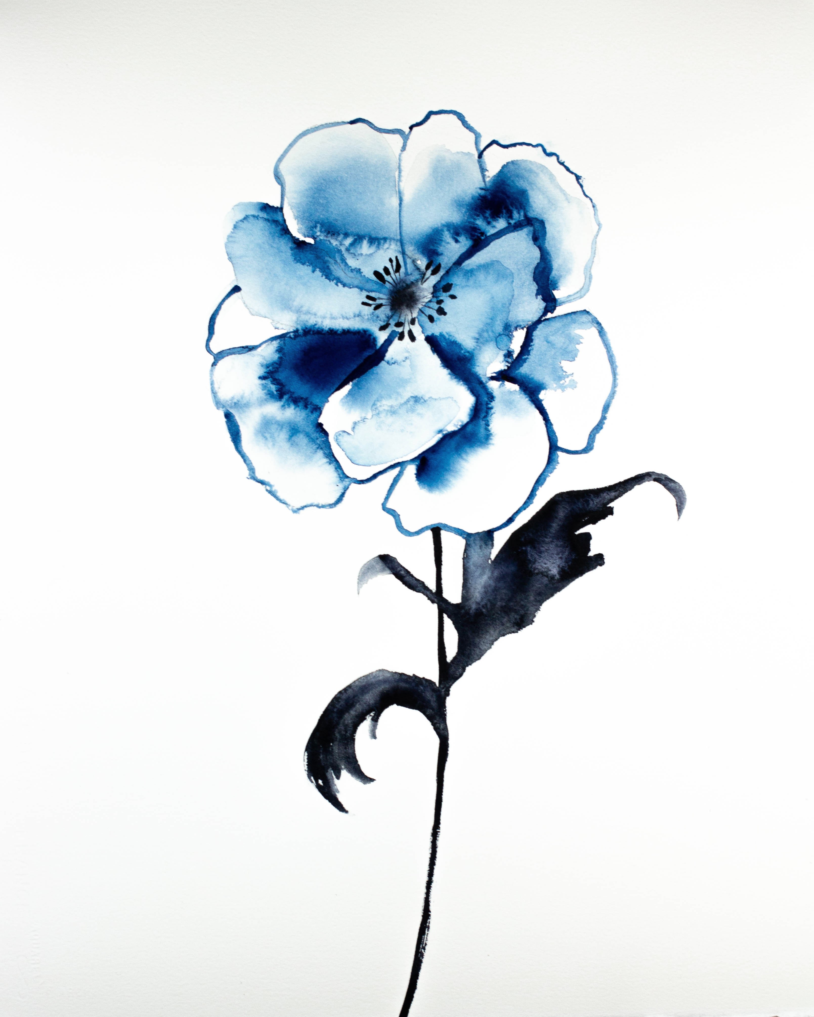 Elizabeth Becker, Anemone No. 2 Elizabeth Becker, Anemone No. 2