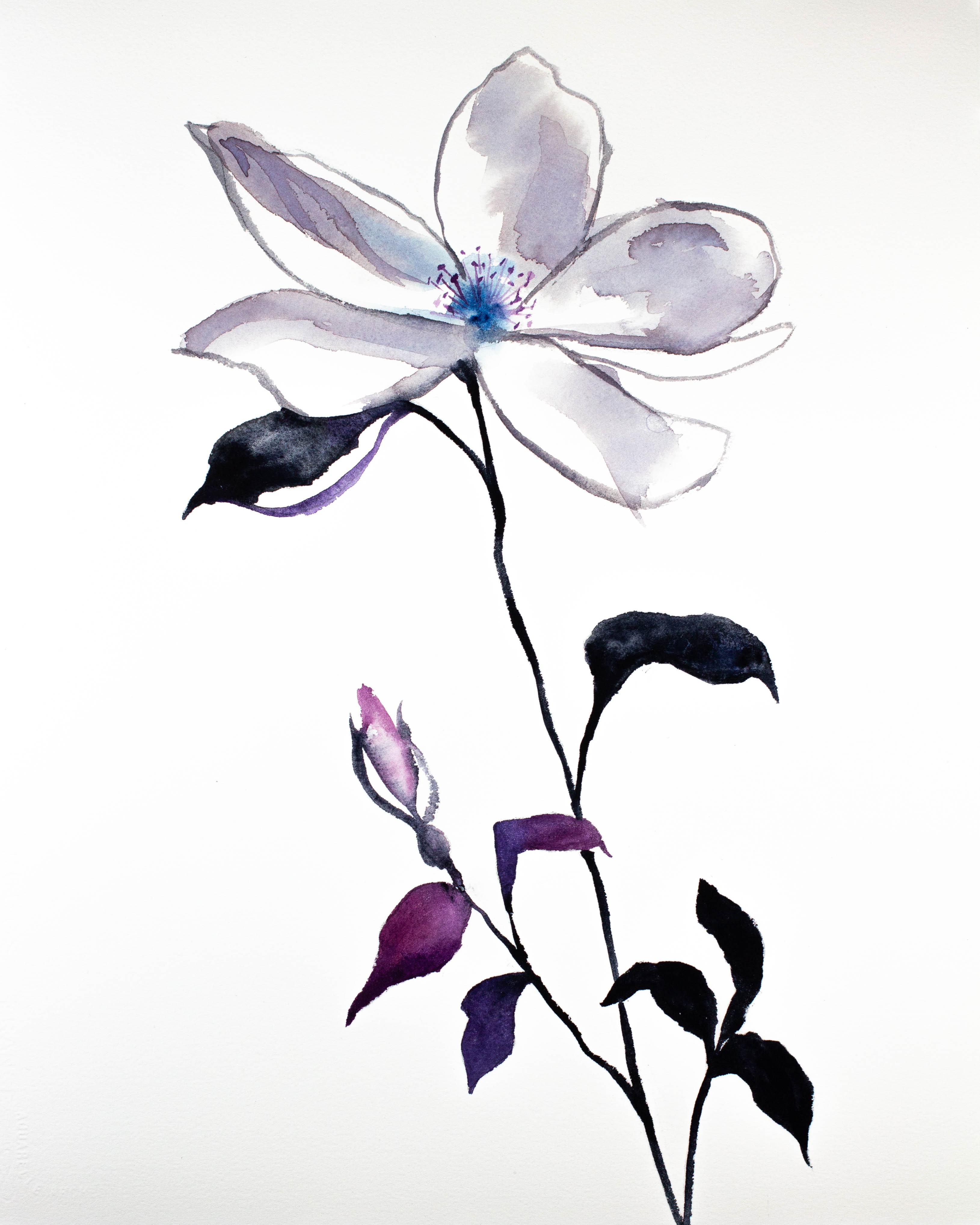 Elizabeth Becker, Wild Rose No. 3 Elizabeth Becker, Wild Rose No. 3