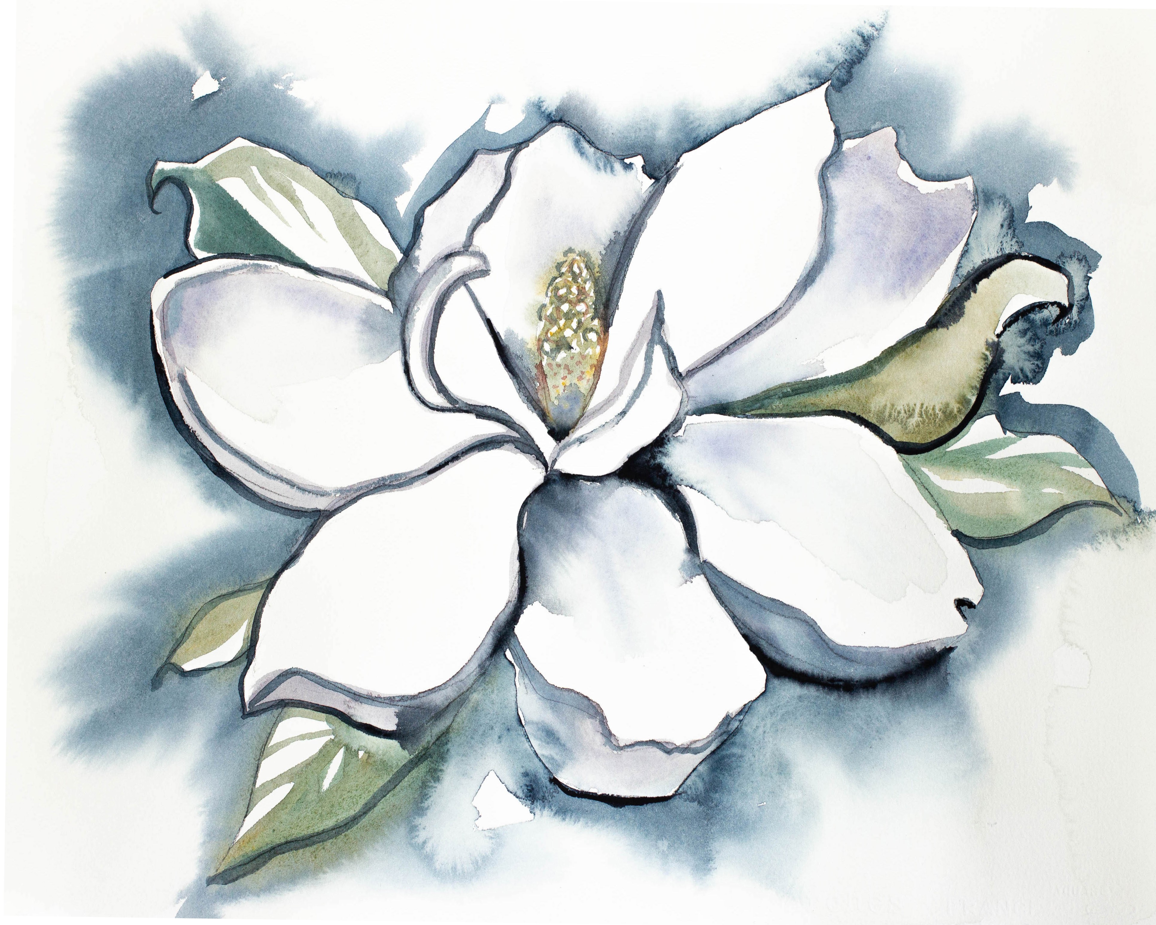 Elizabeth Becker, Magnolia No. 30 Elizabeth Becker, Magnolia No. 30
