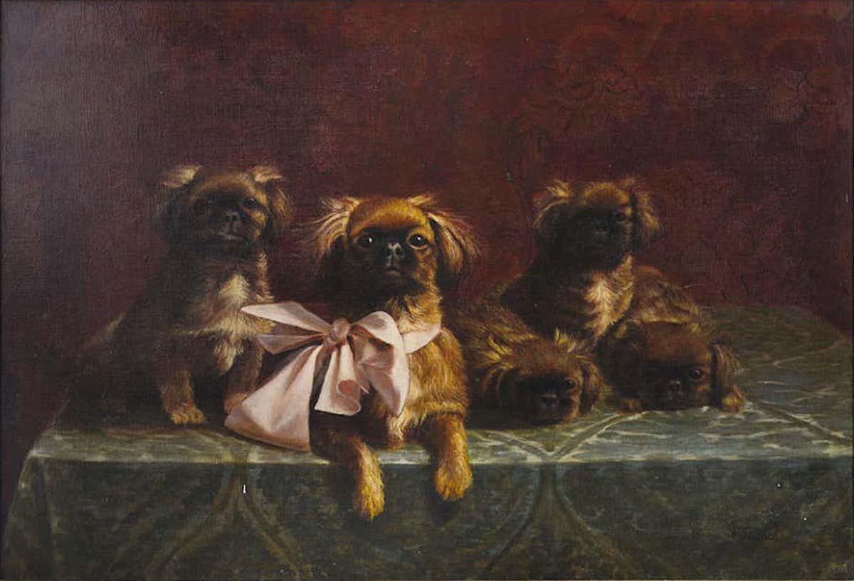 Filiberto Vitaliano Rossi, Pekingese Family of Dogs Filiberto Vitaliano Rossi, Pekingese Family of Dogs