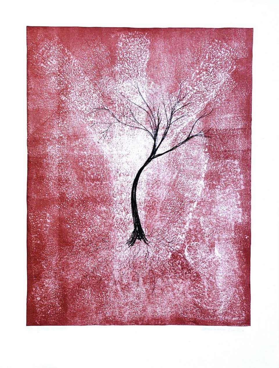 Emilio Conciatori, Tree Emilio Conciatori, Tree