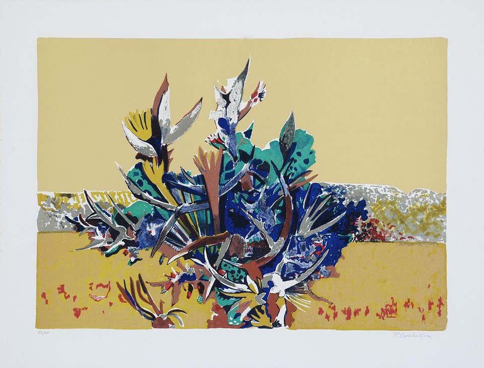 Pietro Carabellese, Brambles Pietro Carabellese, Brambles