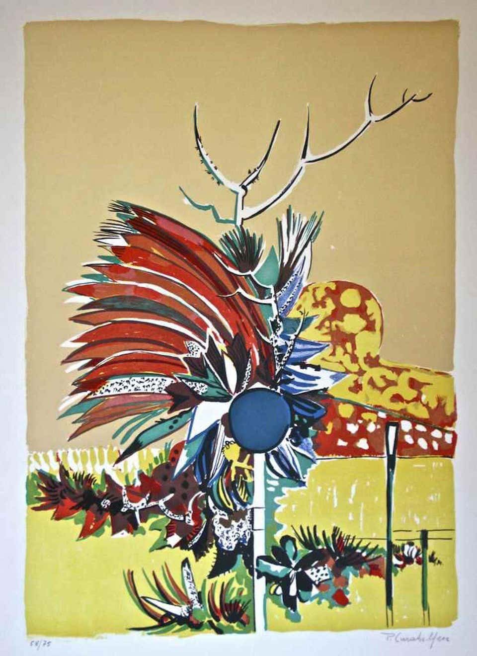 Pietro Carabellese, Flower Explosion Pietro Carabellese, Flower Explosion