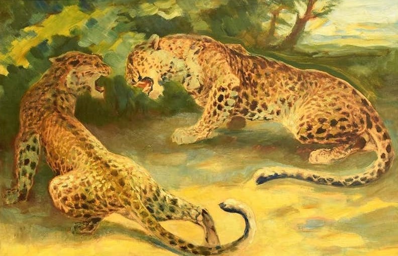 Ferdinand Schebeck, Playing Leopards Ferdinand Schebeck, Playing Leopards