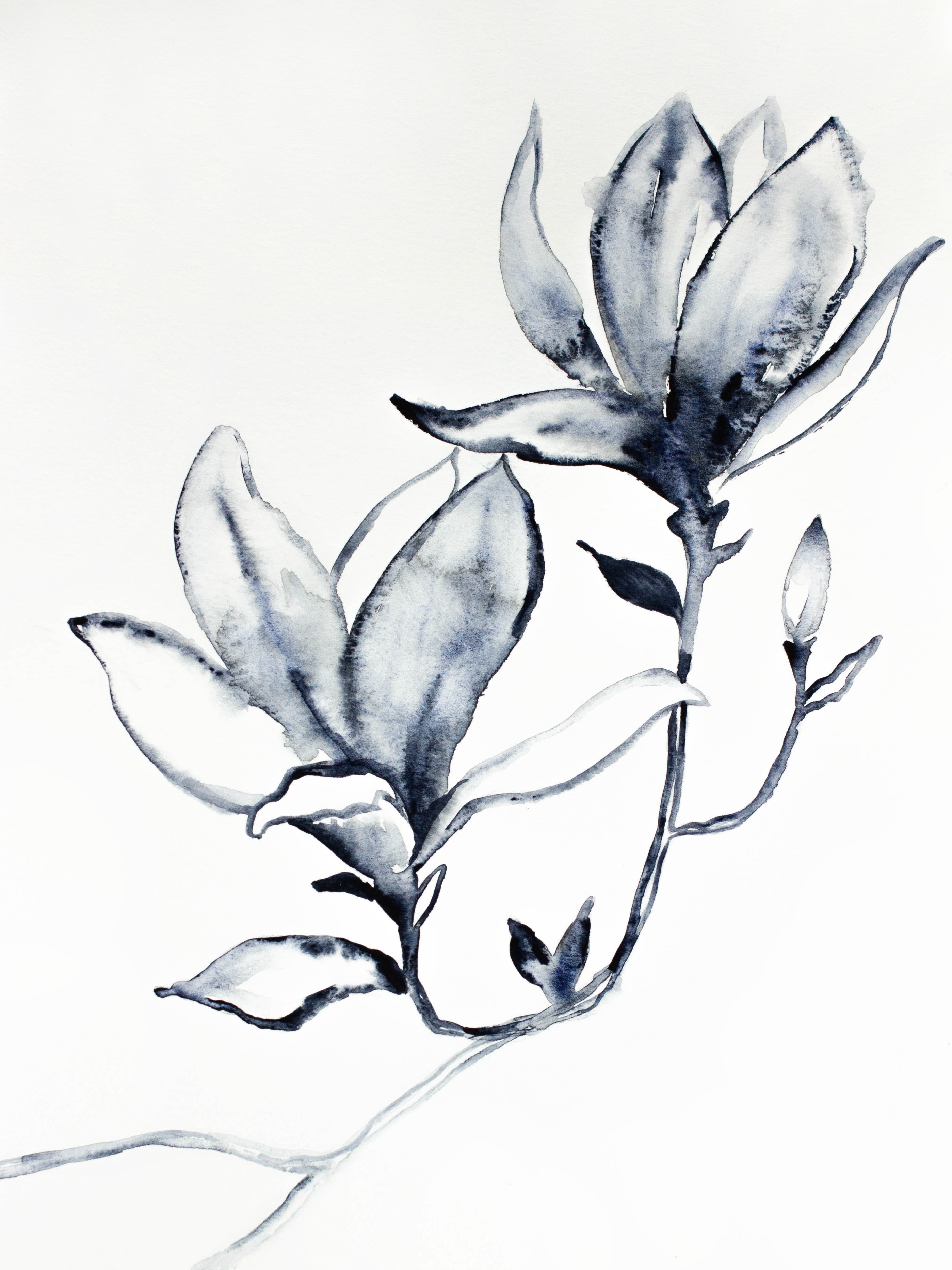 Elizabeth Becker, Magnolia No. 33 Elizabeth Becker, Magnolia No. 33
