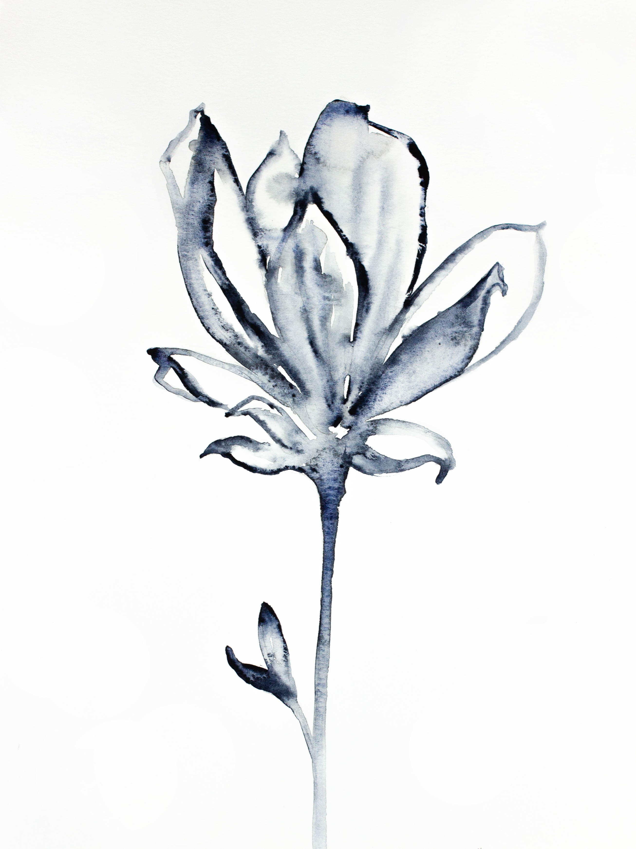 Elizabeth Becker, Magnolia No. 34 Elizabeth Becker, Magnolia No. 34