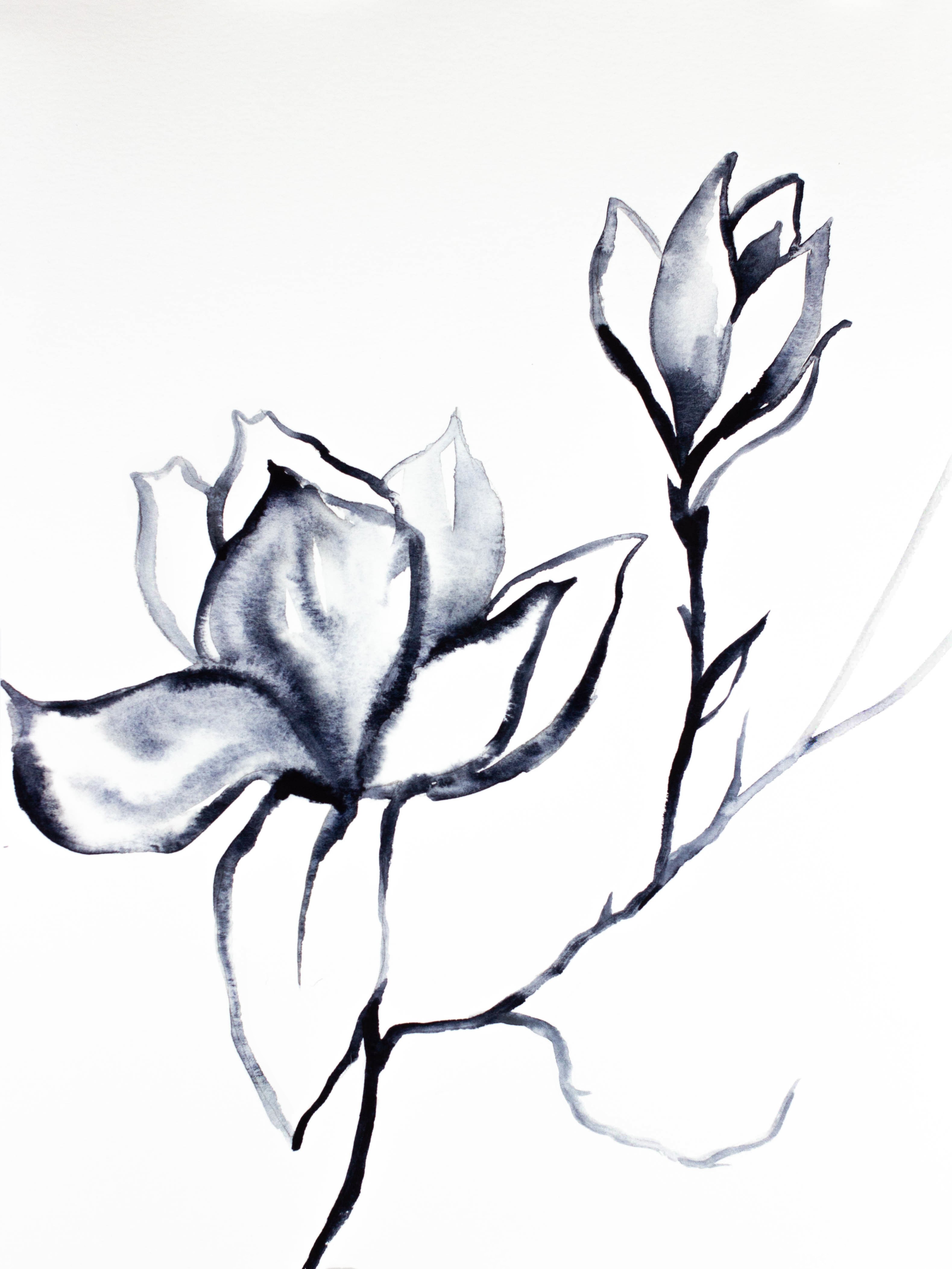Elizabeth Becker, Magnolia No. 37 Elizabeth Becker, Magnolia No. 37