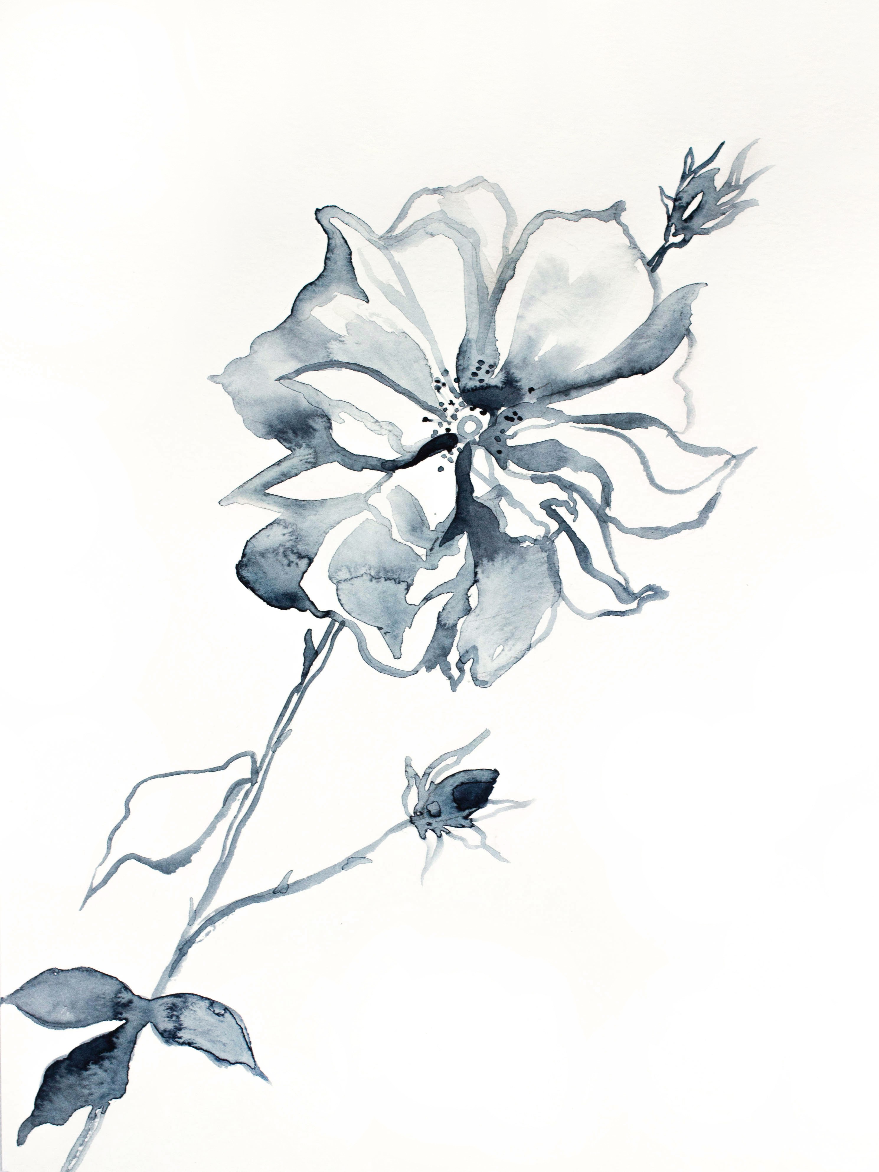 Elizabeth Becker, Wild Rose No. 4 Elizabeth Becker, Wild Rose No. 4