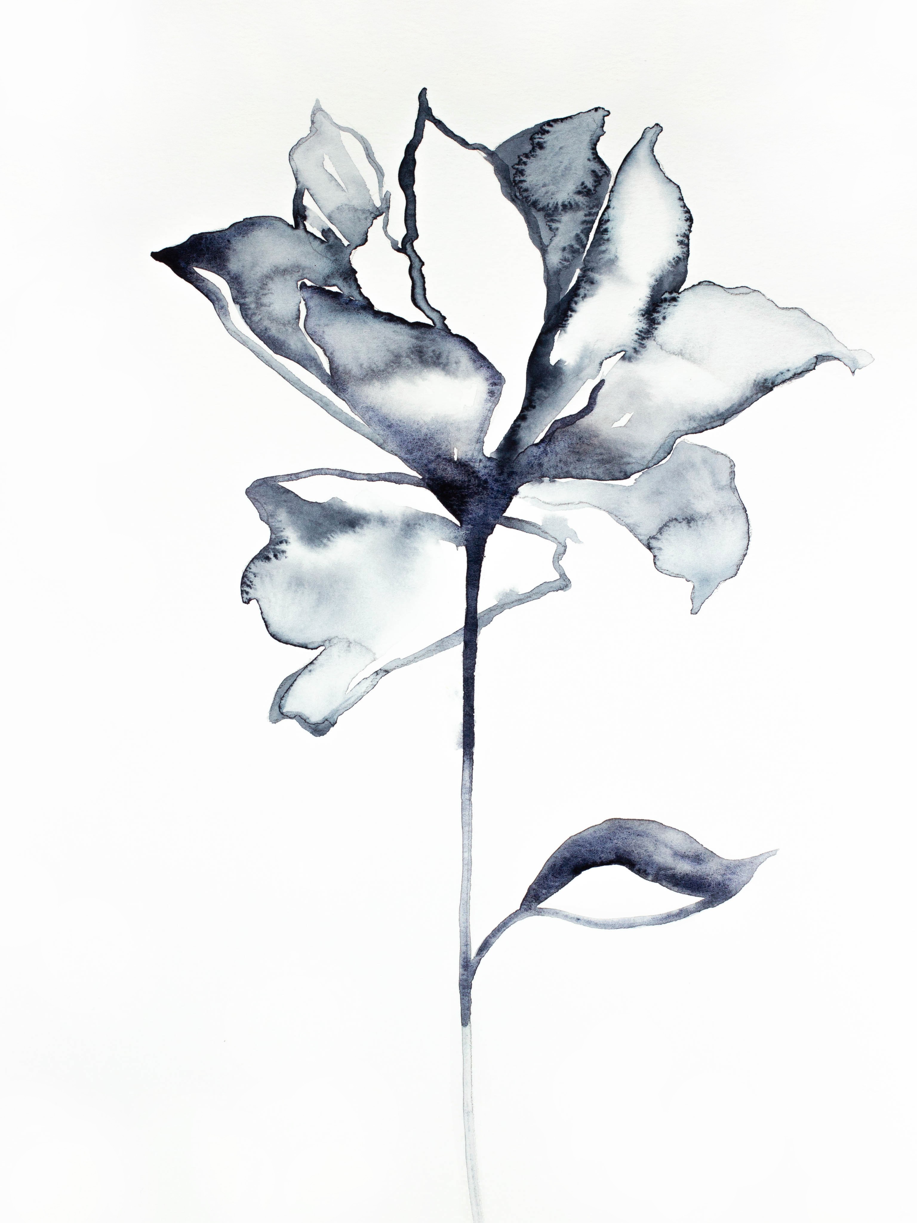 Elizabeth Becker, Rose No. 5 Elizabeth Becker, Rose No. 5