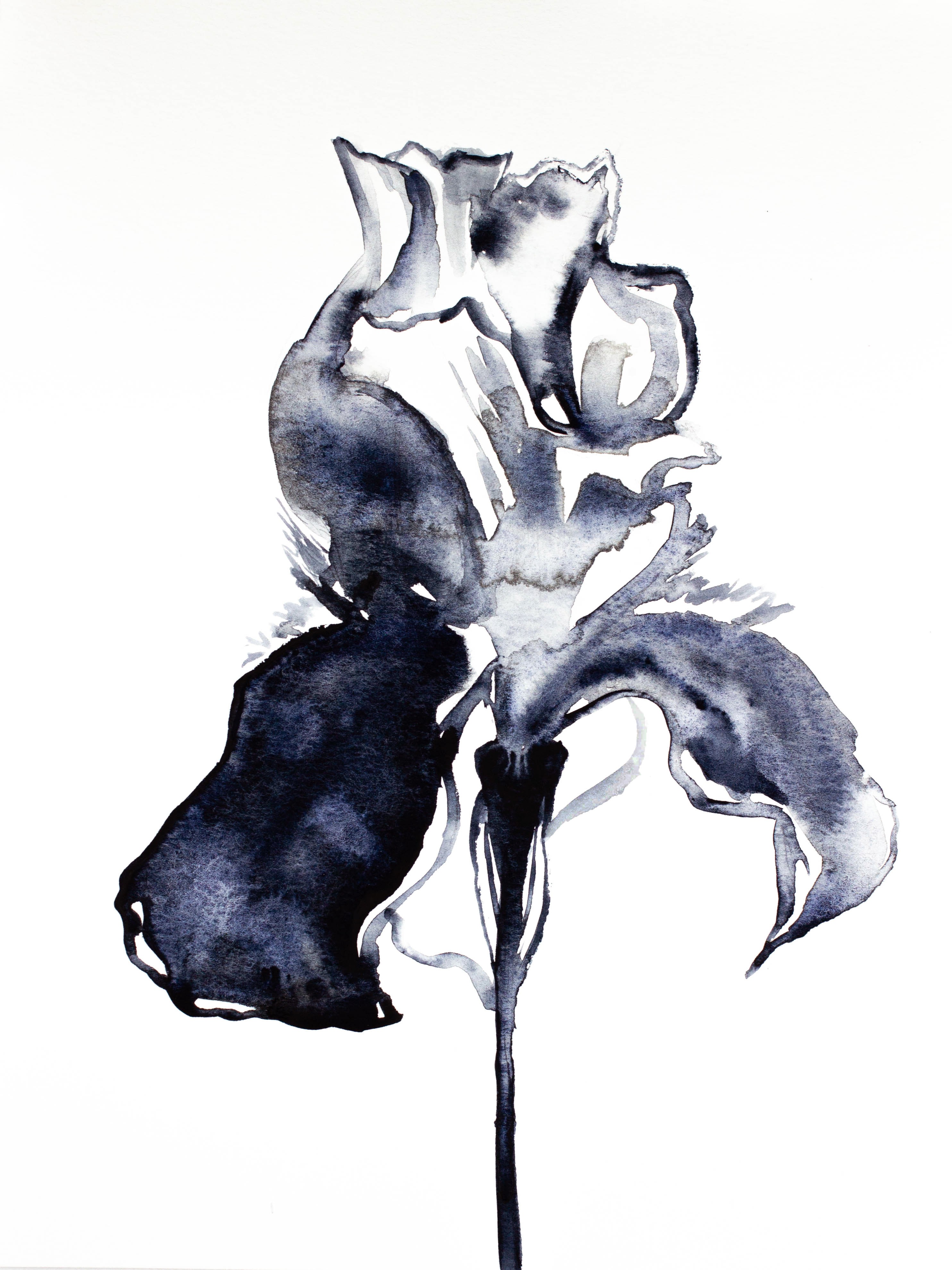 Elizabeth Becker, Iris No. 103 Elizabeth Becker, Iris No. 103